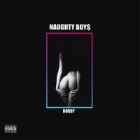Bobby_王极
