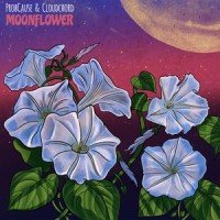 Clouds Pass_Cloudchord,Probcause,Soul Food Horns