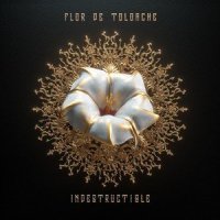 La Andariega / Tamacun_Flor de Toloache,Las Migas