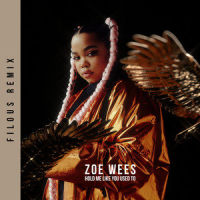 Hold Me Like You Used To_Zoe Wees