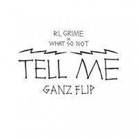Tell Me_RL Grime,What So Not,GANZ