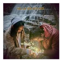 What's the point?_Silas Brainard,Bryan Lu,Evelyn Kluemper,Andy Kim,Avi Simon,Kirk Palsma,Tristan R. Heinicke