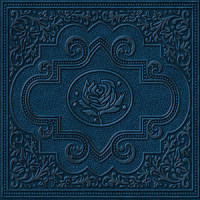 Dance All Night_Ryan Adams & The Cardinals
