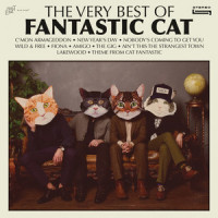 Lakewood_Fantastic Cat