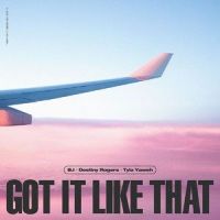Got It Like That_B.I,Destiny Rogers,Tyla Yaweh