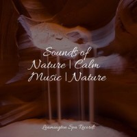 Anxiety Relief_Relaxing Rain Sounds,Pink Noise,Deep Sleep Music Academy