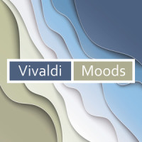Vivaldi: Concerto in C Major, RV 443 - II. Largo_Avi Avital,Venice Baroque Orchestra