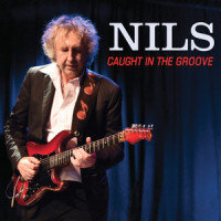 I Like the Way You Do It_Nils