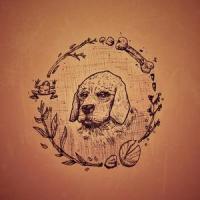 Molly Cabernet_Kyle Stibbs