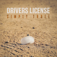 Drivers License_Simply Three