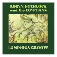 Railway Shoes_Robyn Hitchcock