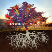 Too Much Alike (with Patty Griffin)_Robert Plant,Patty Griffin