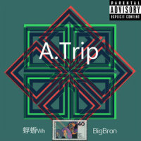 A Trip_BigBron,Dayfly