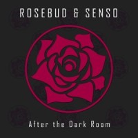 What Can I Do_Rosebud,SENSO