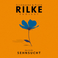 Der Sommer war so wie dein Haus(feat. Julia Engelmann)_Schönherz,Fleer,Julia Engelmann