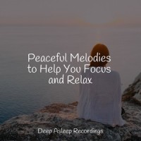 Rolling Dusk_The Sleep Helpers,Zen Meditate,Sleepy Times