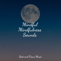 A Place in the Clouds_Wellness,Happy Baby Lullaby Collection,Música para Relaxar Maestro