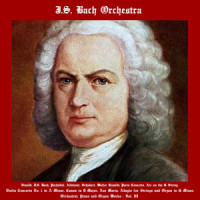 Ave Maria for Organ - Ellen's Gesang III, Op. 56, No. 6, D. 839_Johann Sebastian Bach