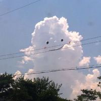 我喜欢上你时的内心活动_Demi