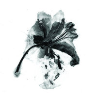 Seed, Crop, Harvest_Prinzhorn Dance School
