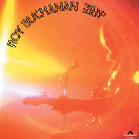 Filthy Teddy_Roy Buchanan