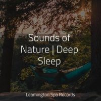 Calm_Sleepy Times,Sons da Natureza & Relaxamento,The Sleep Specialist