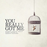 You Really Got Me_George White Group,Nikki Ocean,Groovy Waters