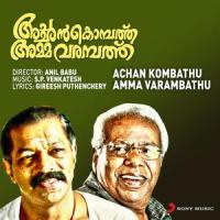 Raavirulin_S.P. Venkatesh,K.J. Yesudas,K.S. Chithra