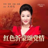 红色沂蒙颂党情_王丽达
