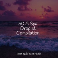 Smooth Sensations_Sleepy Times,Nature Sounds Nature Music,Meditação Yoga