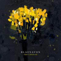 Take Care_Blaenavon