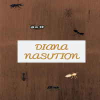 Putus Cinta_Diana Nasution