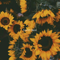 Gucci Love_Donny,Shiloh Dynasty