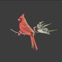 Orbit(feat. Satori)_No. 22,Satori