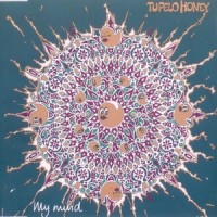 You Don't Have to Change(KRO Leidse Kade)_Tupelo Honey