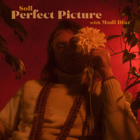 Perfect Picture_Söll,Madi Diaz