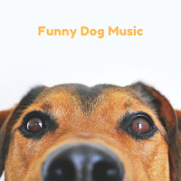 Piano_Pet Music Therapy,Pets Love Music,Piano Peace