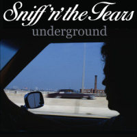 I Believed in You_Sniff 'N' The Tears,Robin Langridge,Paul Roberts