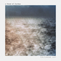 Tolcarne Sky_A Blaze of Feather