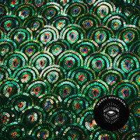 Colour Television_Moses Gunn Collective