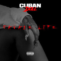 On Gang_Cuban Doll,Molly Brazy