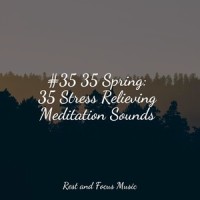 Heavenly Snooze_Pink Noise,Yoga Soul,Ruído branco
