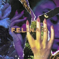 Serendipia (feat. Renzo)_R.J.Ä,Evan Bitz,Renzo