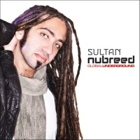 Crimson Sun_Ned Shepard,Sultan,Dirty Vegas