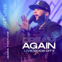 All I Want_James Fortune,Minon Sarten