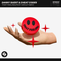 That Feeling (feat. Hayley May)_Danny Quest,Cheat Codes,Hayley May