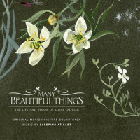As If in a Dream_Sleeping At Last