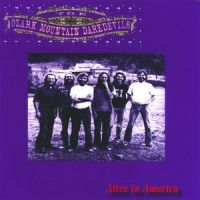 If You Wanna Get to Heaven_The Ozark Mountain Daredevils,D.R,John dillon