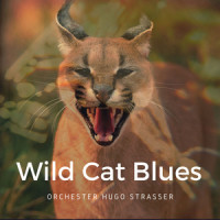 Wild Cat Blues_Orchester Hugo Strasser,Clarence Williams,Thomas Fats Waller
