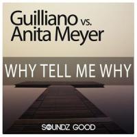 Why Tell Me Why_Guilliano,Anita Meyer,Miami Inc